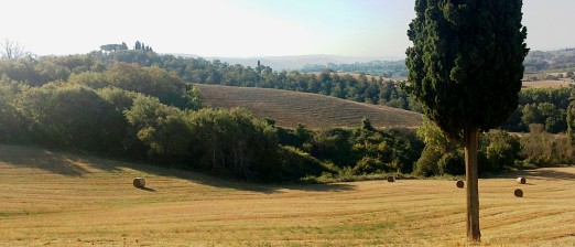  terme senesi, duomo siena, castello di montalcino 