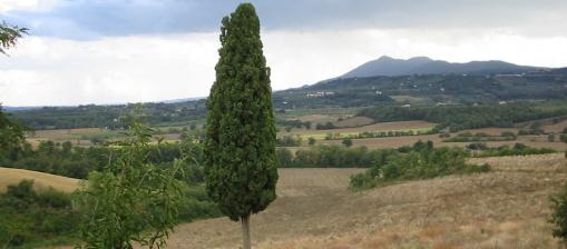  san quirico d'orcia, agriturismi, vacanza con bambini 