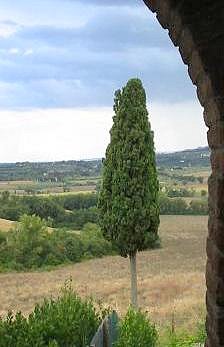 montalcino montepulciano corsa endurance cavalli cavallo